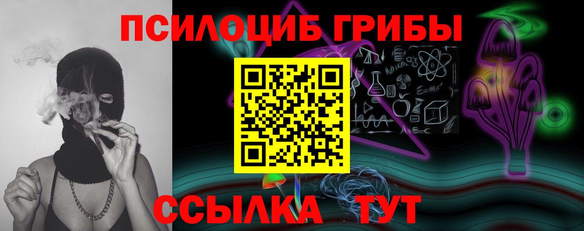 Артём  Псилоцибиновые грибы мицелий  Вход с VPN 